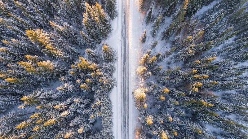 Exercise in nature
